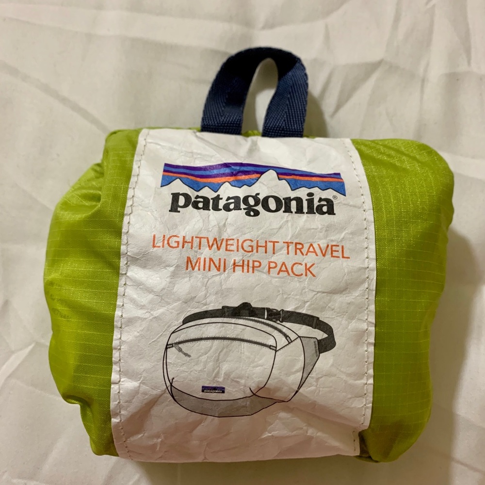 Patagonia Fanny Pack
